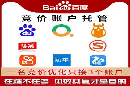 探索SEM优化托管的成功案例与策略
